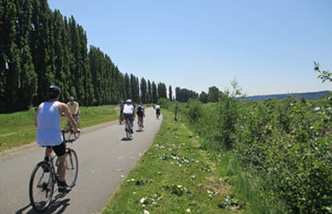 Da Tilli alla Fornace - Foto 61