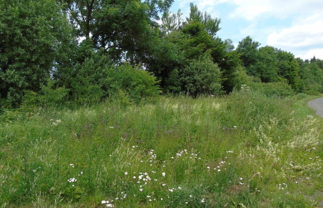 Csilla Comfortable Holiday Residence - Foto 32