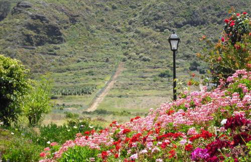 Finca El Picacho Apartments in the countryside 2 Km from the beach - Foto 45