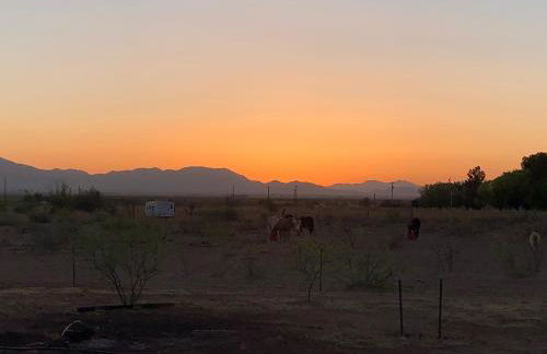 Deer Haven Hideaway - Foto 12