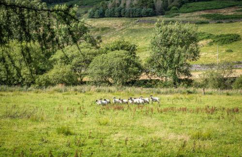 Kilnmark Bothy - Foto 50
