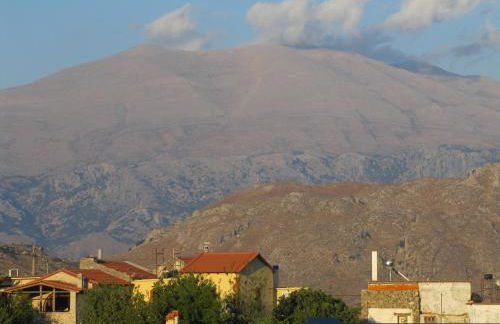 Tulip House - Foto 1