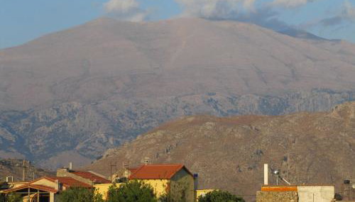 Tulip House - Foto 1