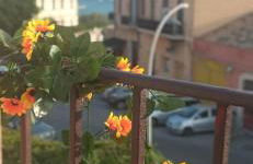 Borgo Sant'Antonio 14 B - Foto 1