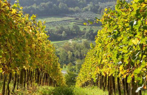 Relais Poggio Borgoni - Foto 60