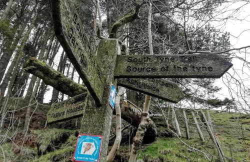 Bonny Bits Cottage - Foto 33