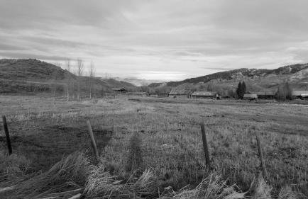 Jack Rabbit - Foto 17