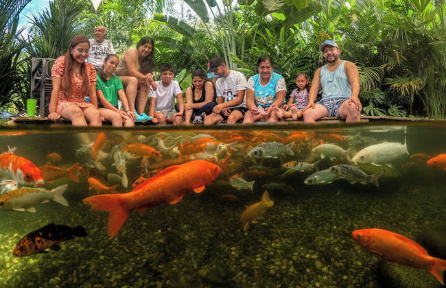 Ecohotel Villa Russo - Foto 5