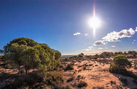 Mediterraneamente soleado - Photo 56