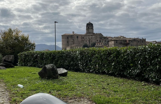 Preta Nera Van Gogh in Giuliano di Roma - Foto 38