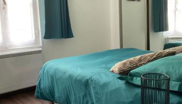 Joli appart F2, les 3 croissants, centre ville - Foto 5