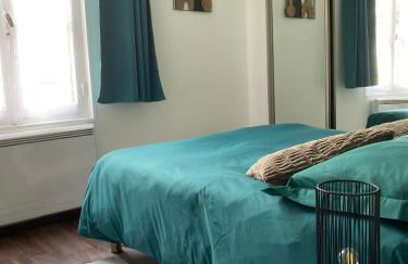 Joli appart F2, les 3 croissants, centre ville - Foto 5