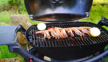 Craigmaddie Muir Roundhouse with Hot Tub Romantic, Luxury, Rural Stay for 2 Near Milngavie - Foto 5