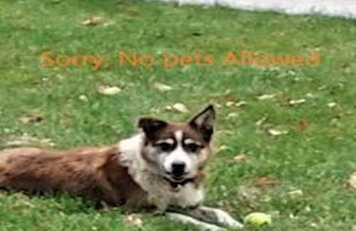 Farm House Cabin, Patio, TV Room, Games, BBQ, Campfire - Foto 27