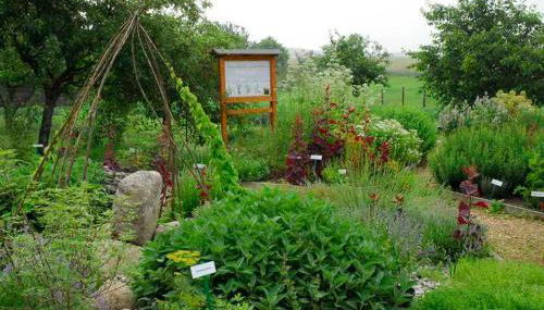 Kraeuter_Landhaus - Foto 5