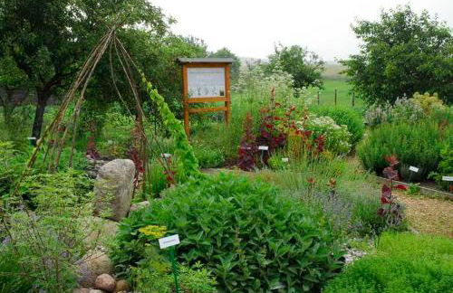 Kräuter-Landhaus - Foto 5