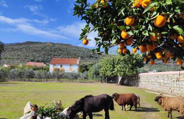 Quinta da Ponte das Hortas 3 - Foto 7