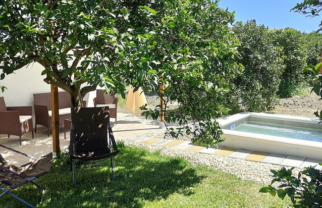 AgriBarocco - Photo 29