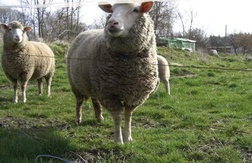 Landhaus Questin - Photo 32