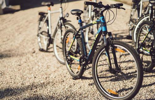 Kraina Dauby - Foto 52