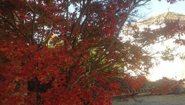 Maison 2 couchages - Foto 4