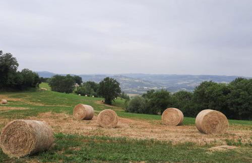 Agriturismo Il Truffarello TODI - Photo 28