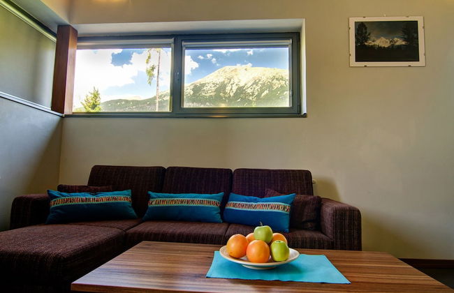 Mountain Villas Polana - Foto 12