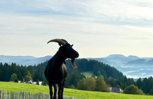 JJ Living - Alpenblick 073 - Foto 35