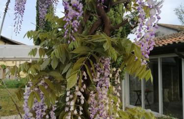 Resort Villa Manin - Foto 50