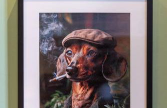 La Cabane atypique de la Gare Matabiau - Foto 4