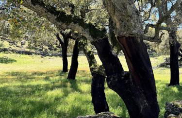 Casa Com Mãos - Foto 67