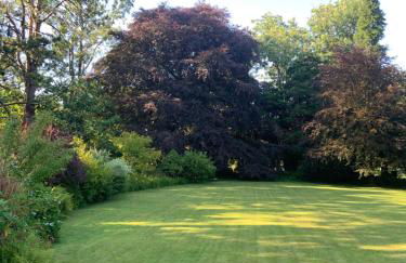 Riverside apartment - Foto 13