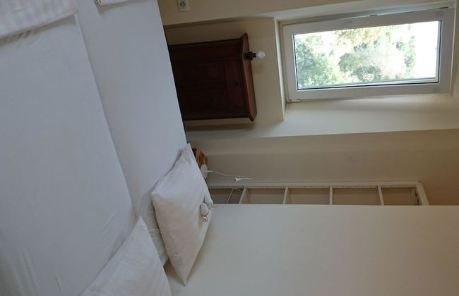 House Pod Humom - Foto 5