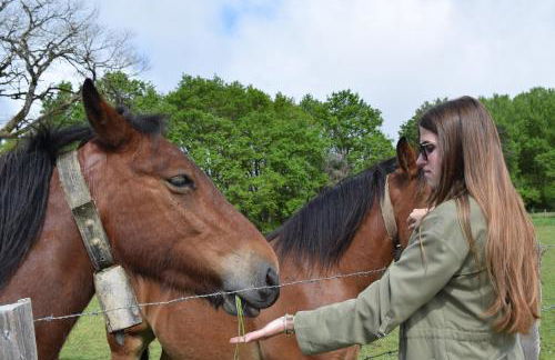 Casa Rural Galain - Foto 30