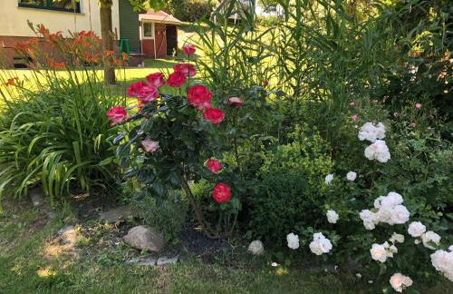 Ferienhaus Wolff - Foto 8