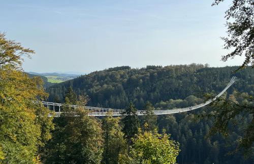 Kurpark-Blick Willingen - Foto 14