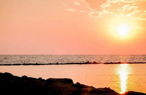 Ricky- Fiumicino Relax Mare Aeroporto - Foto 3