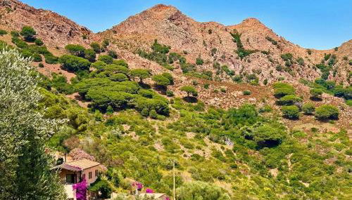 Aria di Collina - Isola d'Elba - Foto 2