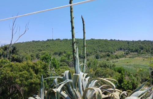 One Bedroom Apartment with Terrace - Foto 18