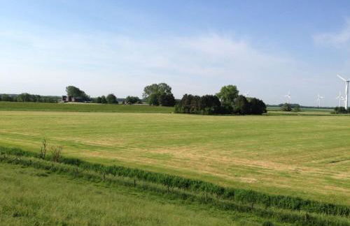 Holiday house on the Diek - Foto 15