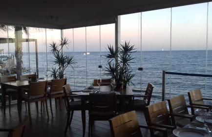 Mi Capricho - Photo 52