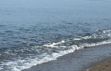 Profumo di mare - Foto 17