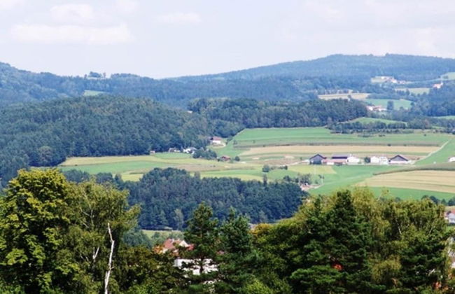 Ferienwohnung im Bayerischen Wald mit Terrasse - Photo 33