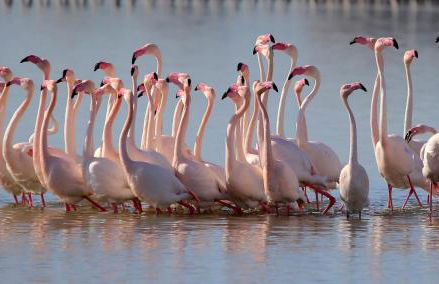 Chelu & Luna - Foto 66