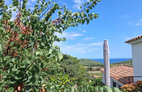 ESTUDIO RENOVADO CON BALCON PRIVADO Y COCINA vistas al mar TAMARIU y BEGUR - Foto 61
