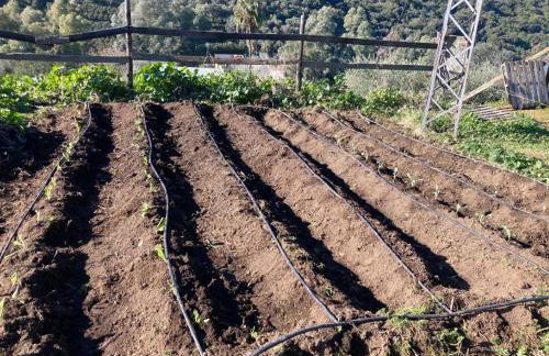 Casa Rural Los Menestrales - Foto 49