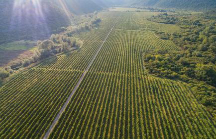 Villa Granny Nevenka near MAKARSKA - Foto 3