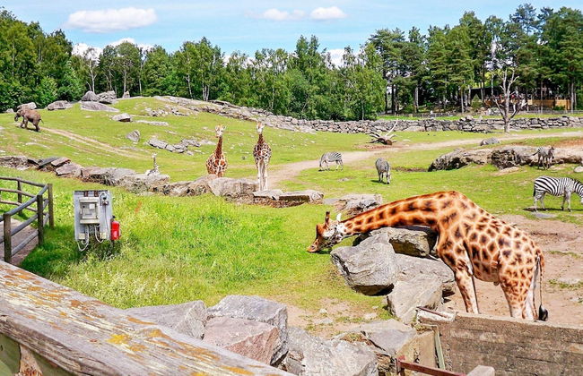 5 Person Holiday Home in Sexdrega-by Traum - Photo 13