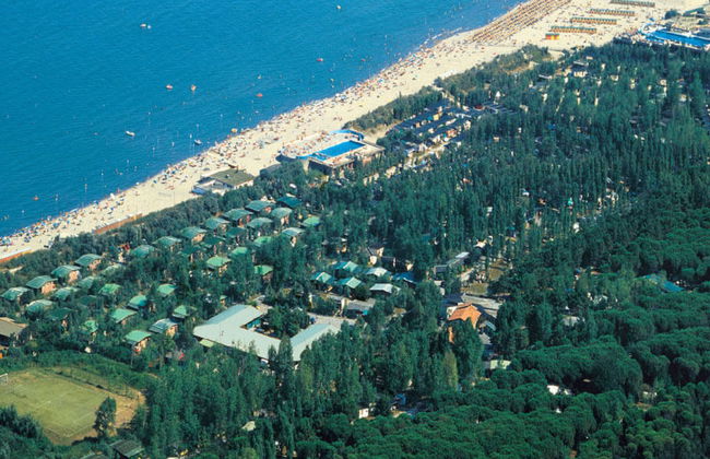 Happy Plus - Foto 35