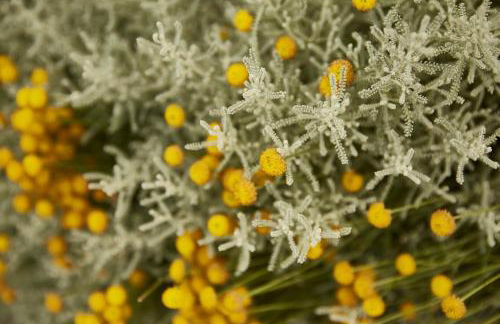 Agriturismo Ca' del Ciuco - Foto 75